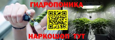 хмурый Свободный